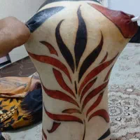 ساز بادی|سازهای بادی|اراک, |دیوار