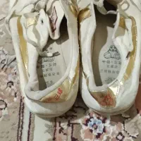 کفش مردانه|کیف، کفش، کمربند|هرسین, |دیوار