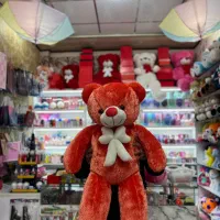 عروسک خرسی در سایزهای نیم تا ۲متری/سرزمین هدیه