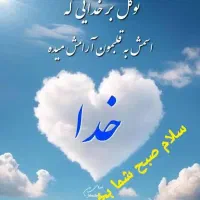 سرمایه جهت سرمایه گذاری