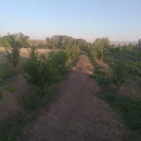 فروش باغ ۱۱۰۰متری روستای ینگجه|فروش زمین و ملک کلنگی|زنجان, |دیوار