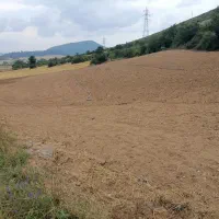 زمین کشاورزی 6000متری|فروش دفتر صنعتی، کشاورزی، تجاری|کیاسر, |دیوار