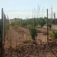 باغچه واقع در اسلامشهر ترشنبه