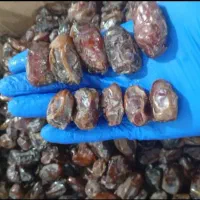 فروش عمده انواع خرما تازه جنوب|خوردنی و آشامیدنی|تهران, مخصوص|دیوار