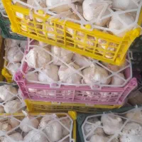 سیر و موسیر همدان|خوردنی و آشامیدنی|تهران, مطهری|دیوار