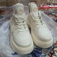 کفش و کیف اسپورت