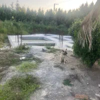 زمین شهرکی در منطقه بی بالان|فروش زمین و ملک کلنگی|واجارگاه, |دیوار