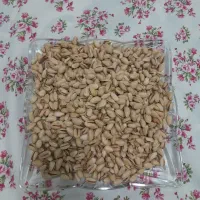پسته اکبری فروشی|خوردنی و آشامیدنی|قم, منبع آب|دیوار
