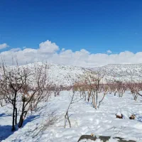 باغ تفریحی|فروش خانه و ویلا|یاسوج, |دیوار