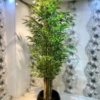 آینه قدی عرض ۷۵ارتفاع ۱۷۵ دور چوب روس|آینه|اشتهارد, |دیوار