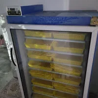 دستگاه جوجه کشی|ماشینآلات صنعتی|آمل, |دیوار