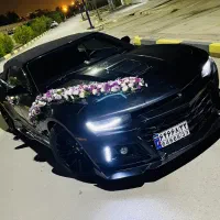 گل کاری،تزئین،ماشین عروس،دیزاین،گل ارایی|خدمات پذیرایی، مراسم|اهواز, زیتون کارگری|دیوار