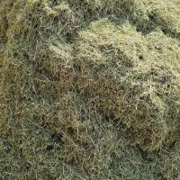 یونجه|لوازم جانبی حیوانات|جنت, |دیوار