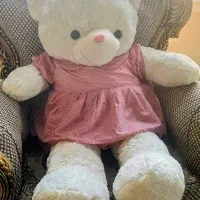 خرس ولنتاین