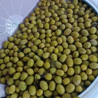 فرصت همکاری و درآمد در منزل ( فقط بانوان )