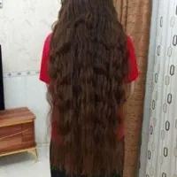 فروش مو (خریدارمو و صادرکننده موهای خام ورنگی)|آرایشی، بهداشتی، درمانی|دوگنبدان, |دیوار