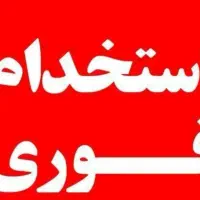 نیروی کار خانم