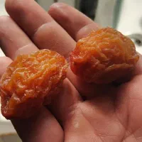 آلو بخارا درجه یک آبجوشی|خوردنی و آشامیدنی|شیراز, ریاستی|دیوار