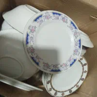 ظروف پذیرایی