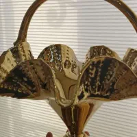 ظرف پذیرایی