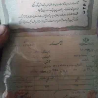 گم شده شناسنامه