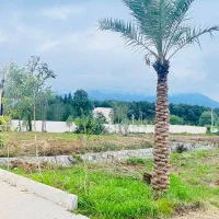 زمین ۶۰۰متری سنددار شهرک با اصالت سیسنگان|فروش زمین و ملک کلنگی|نوشهر, |دیوار