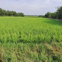 یک تکه از بهشت در گتاب