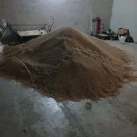 باسلام دو تون دان به فروش می رسد