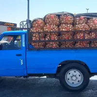 سایپا دیزل ۹۱|خودرو سواری و وانت|خرم‌آباد, |دیوار