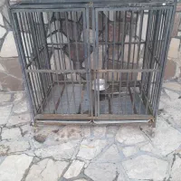 قفس آهنی