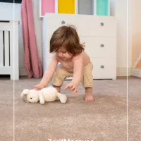 تخفیف ویژه موکت|موکت|شیراز, بالا کفت|دیوار