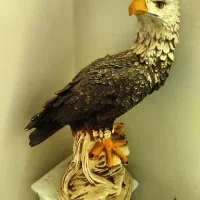 مجسمه