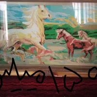 وسایل قدیمی|کلکسیون اشیاء عتیقه|بندر ماهشهر, |دیوار