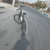 به پول  نیامندم|دوچرخه، اسکیت، اسکوتر|سبزوار, علمدار|دیوار