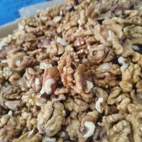 فروش انواع گردو|خوردنی و آشامیدنی|لنگرود, |دیوار