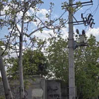 باغچه و باغ دنج رشدمالی/شخصی /سند/تکبرگی