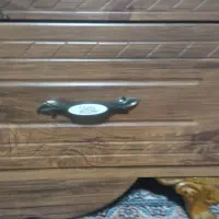 خاک اره و پوشال