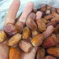 خرما پیارم خرما خشکبار|حراج|یزد, |دیوار