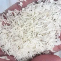 برنج هاشمی اصل دره رود