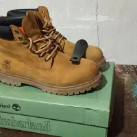 بوت تیمبرلند