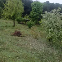 ۲۴۰ متری کوهپایه ای بر جاده رودبارسرا به اولم|فروش زمین و ملک کلنگی|رضوانشهر, |دیوار