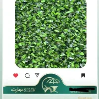 فنس برگی پرتقالی