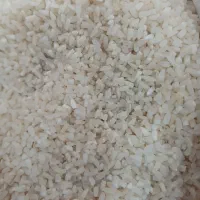 برنج سرلاشه هاشمی/ فوق عطری / بی نظیر در پخت