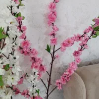چند شاخه گل شکوفه