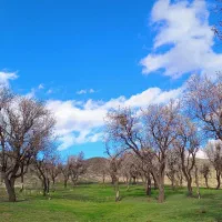 بکر ترین نقاط طبیعت سبزوار