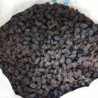 مویز بش درجه1 دشمن زیاری را مستقیم از باغ دار بخر|خوردنی و آشامیدنی|شیراز, معالی‌آباد|دیوار