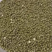 ماش سبز ودرشت وتمیز