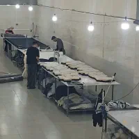 خیاط|استخدام صنعتی، فنی، مهندسی|کرج, گلشهر|دیوار