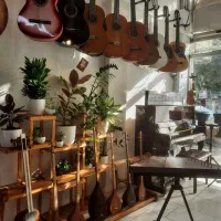 سنتور سه تار تنبور تار|سازهای سنتی|مینودشت, |دیوار