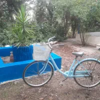 اجاره دوچرخه اصل کره خارجی قدیمی کلاسیک عتیقه|دوچرخه، اسکیت، اسکوتر|گرگان, |دیوار